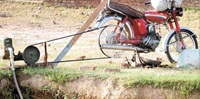 only in pakistan